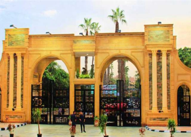 جامعة المنصورة