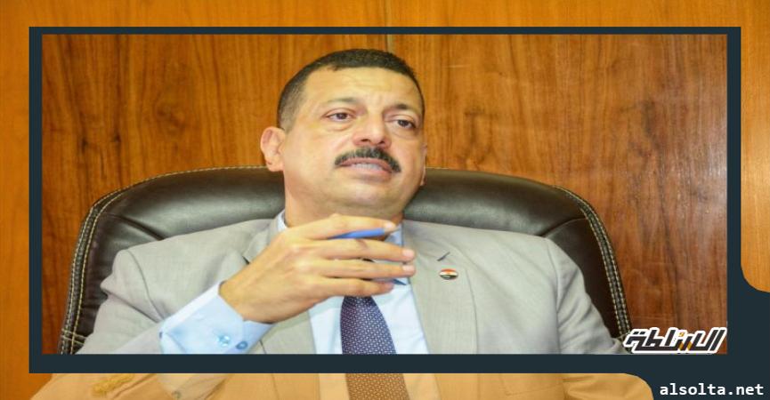  المتحدث الرسمي باسم وزارة الكهرباء الدكتور أيمن حمزة